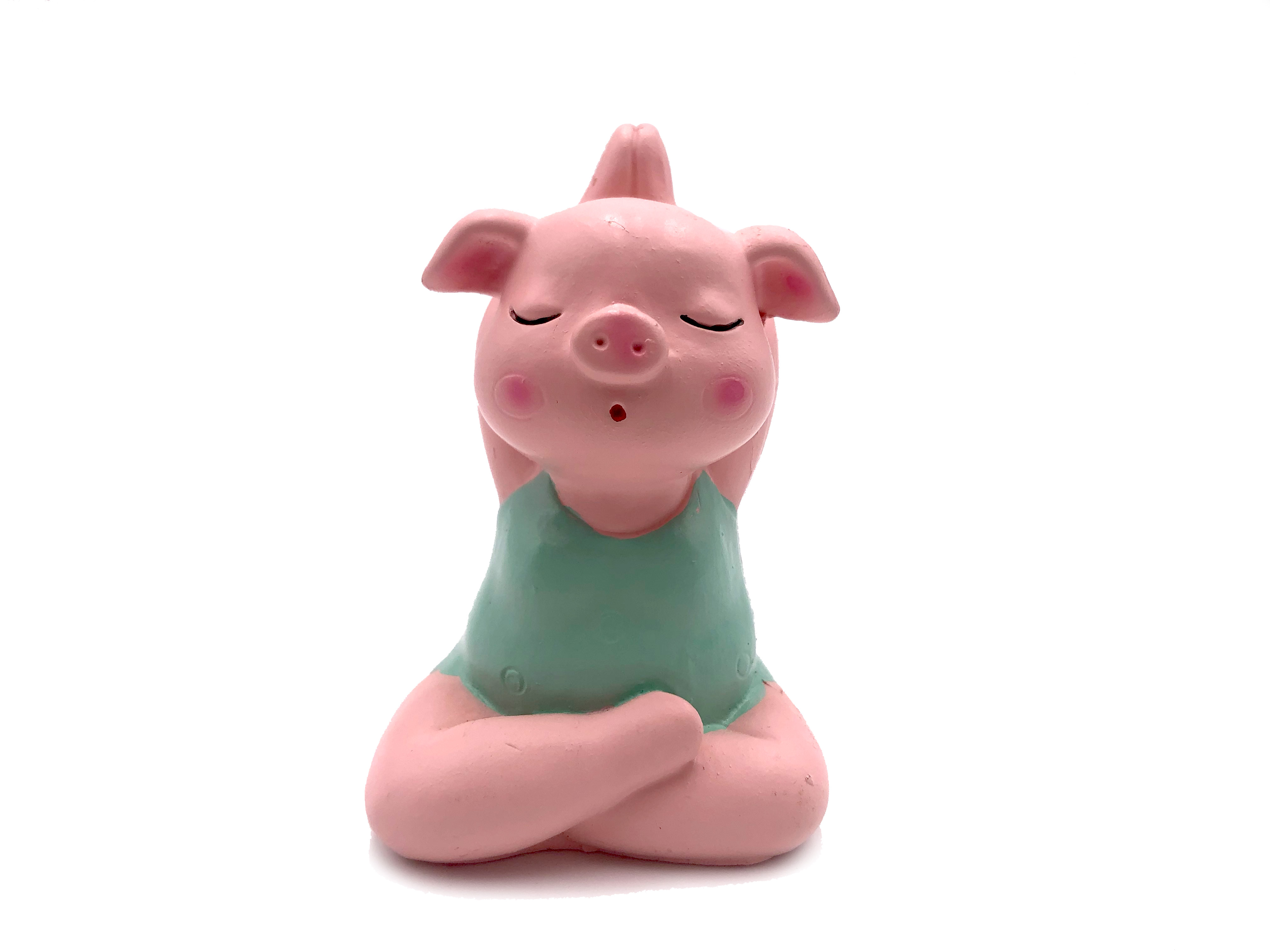 Glücksschweinchen Yoga