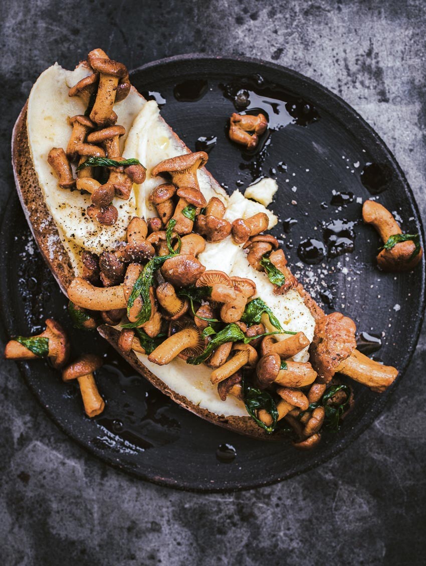 Kartoffelaufstrich-Toast mit Pfifferlingen - AT Zimbapark DE Kartoffelaufstrich-Toast mit Pfifferlingen - AT Zimbapark DE