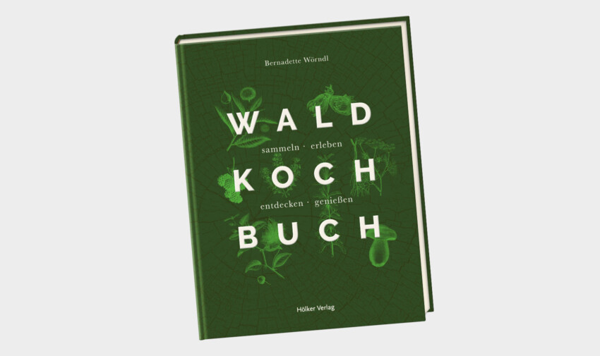 Kartoffelaufstrich-Toast mit Pfifferlingen - AT Zimbapark DE Kartoffelaufstrich-Toast mit Pfifferlingen - AT Zimbapark DE